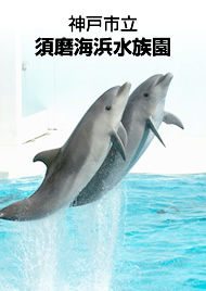 神戸市立　須磨海浜水族園